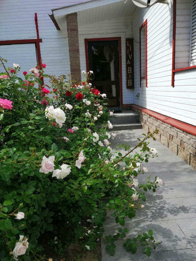 Liiva Guest Accommodation,Free Parking Tartu Bagian luar foto